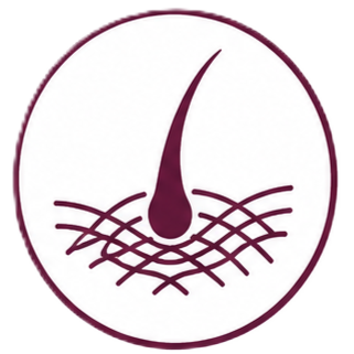 Bio Fibre Hair Transplant